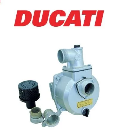 Ducati Bomba de agua para motoazada