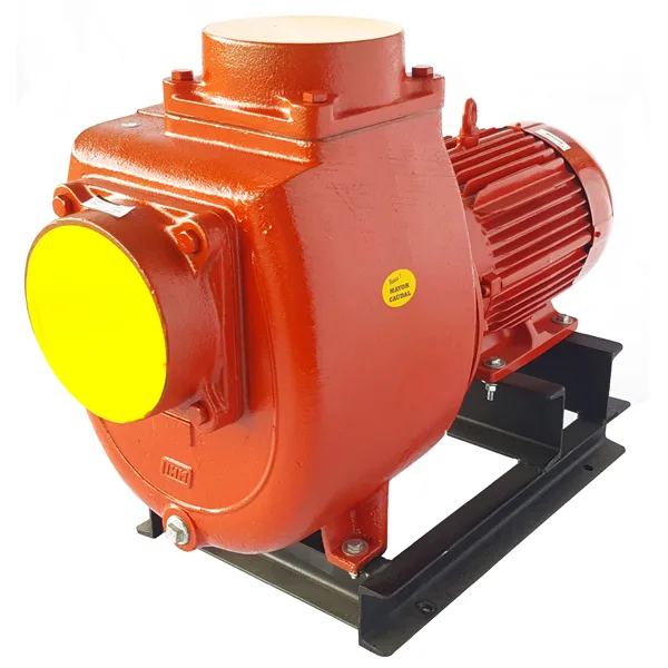 IHM Electrobomba GS 200-20TW-1750-IE3