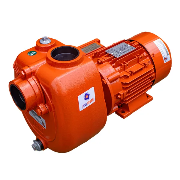 IHM Electrobomba GS 75-5.0TTP IE3