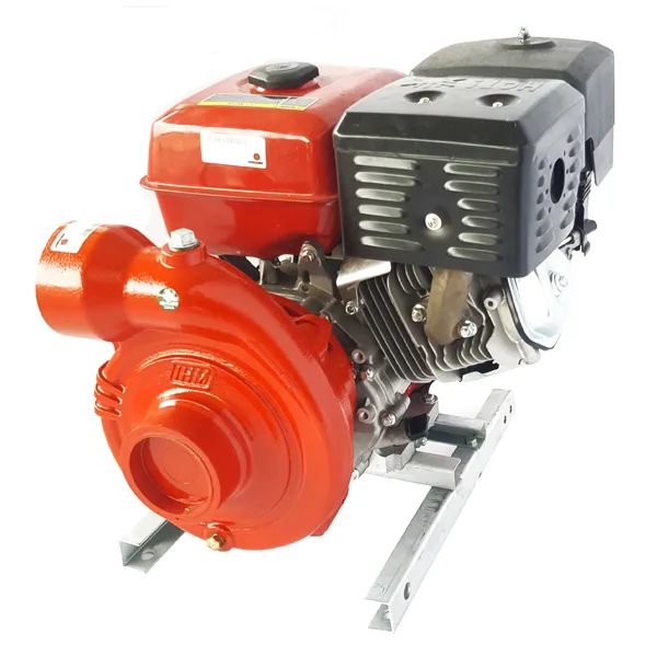 IHM Motobomba a gasolina 30AG/188 TP