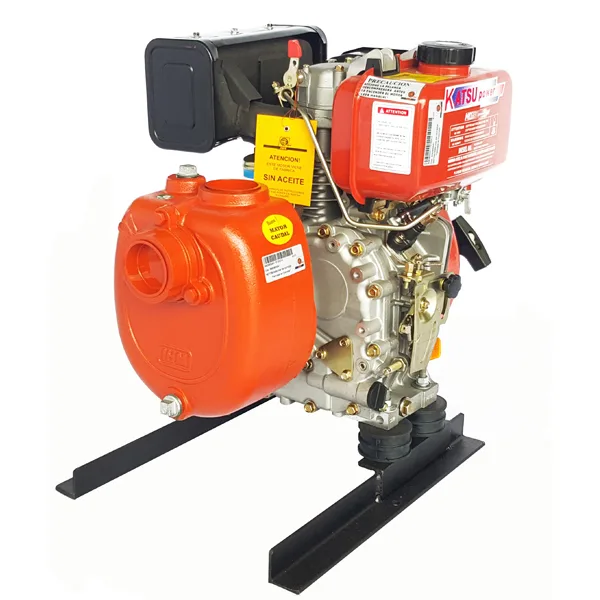 IHM Motobomba diésel GS 50/F300A