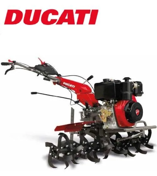 Ducati Motoazada DTL11000