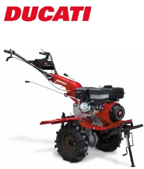 Ducati Motoazada DTL13000