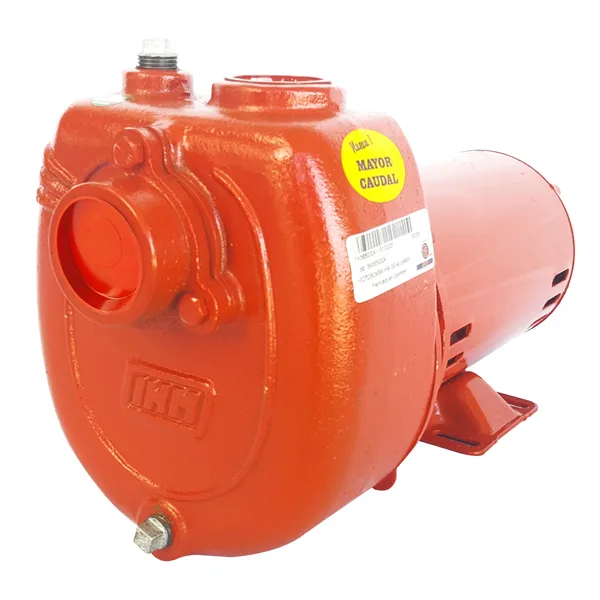 IHM Electrobomba GS 40-1.0MW