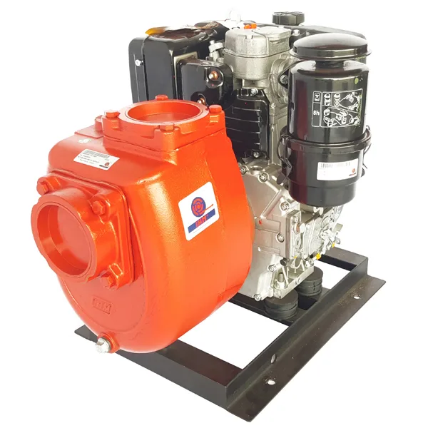 IHM Motobomba diésel GS 100/15LD4
