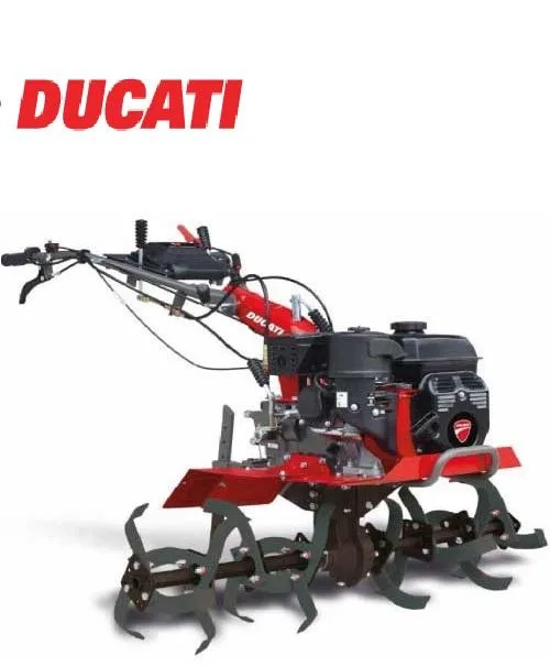 Ducati Motoazada DTL10000