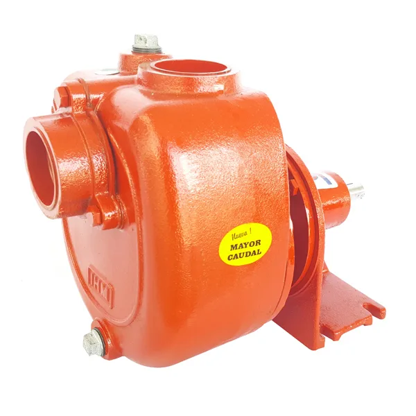 IHM Bomba de eje libre GS 50-L1
