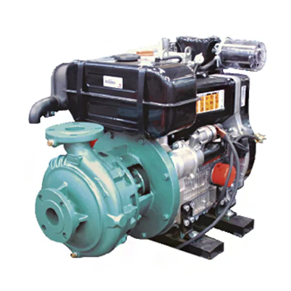 IHM Motobomba diésel 8x31/9LD-625-2 CHE