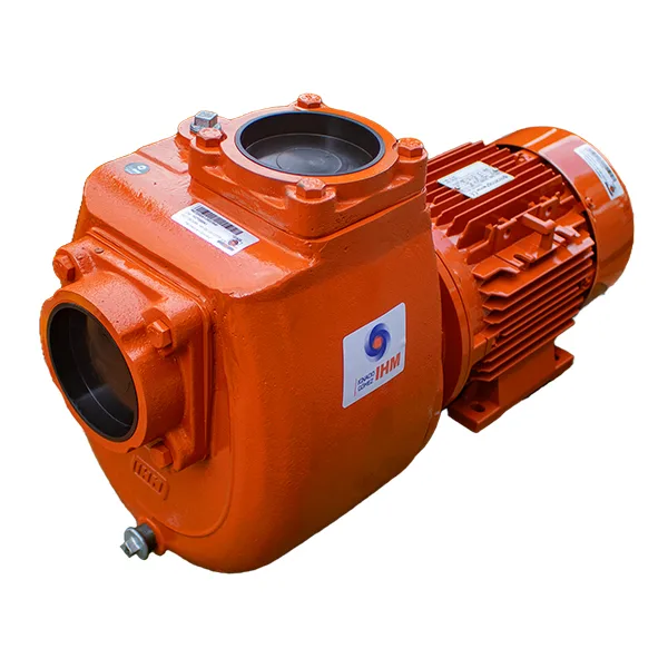 IHM Electrobomba GS 100-10TTP IE3