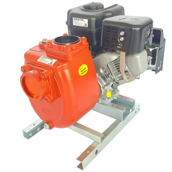 IHM Motobomba a gasolina GS 75 /12I
