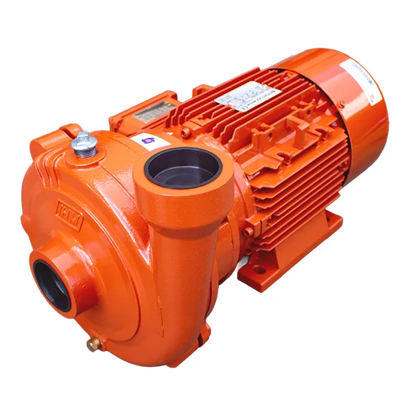 IHM Electrobomba 20H-5TTP IE3