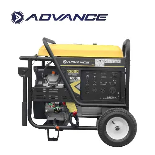 Advance Planta eléctrica AG15000E