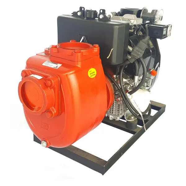 IHM Motobomba diésel GS 100/25LD