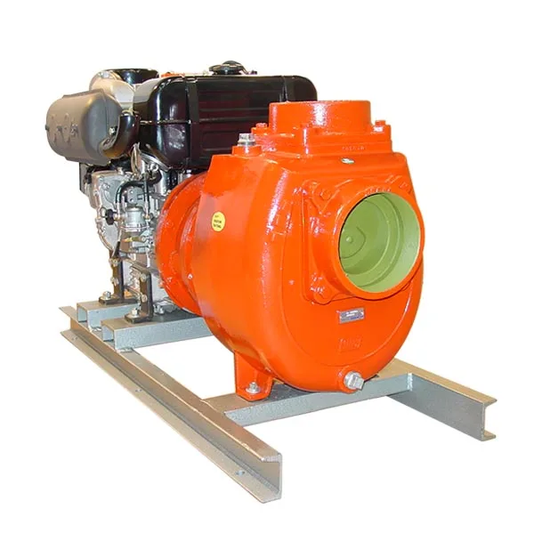 IHM Motobomba diésel GS 150/25LD
