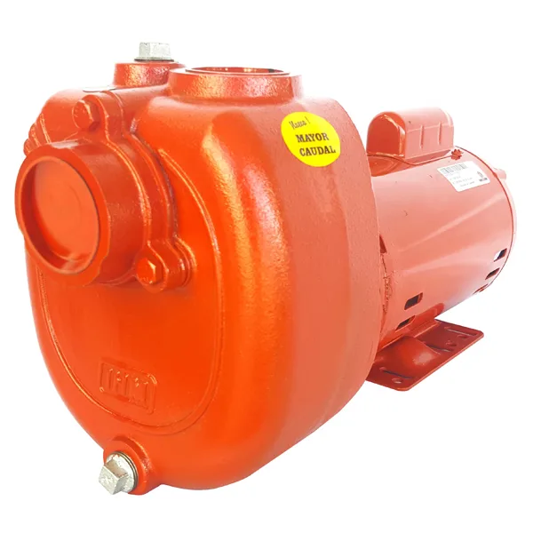 IHM Electrobomba GS 50-2MW